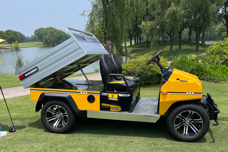 Utility Electric Vehicle 